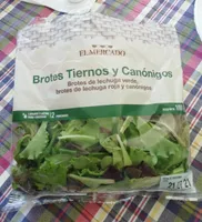 Brotes Tiernos y Canónigos