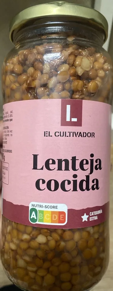 Lenteja cocida