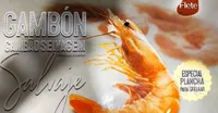 Gambón Salvaje
