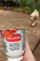 Yogur de frutas