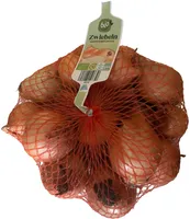 Zwiebel