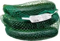 Zucchini