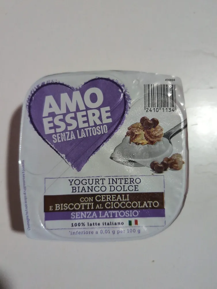 Yogurt bianco con cereali e biscotti senza lattosio