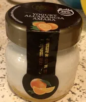 Yogurt all arancia amara