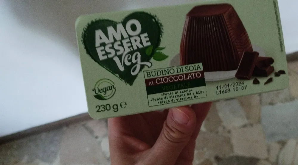 Budino di soia al cioccolato