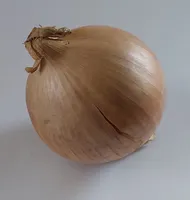 Cebula żółta, onion