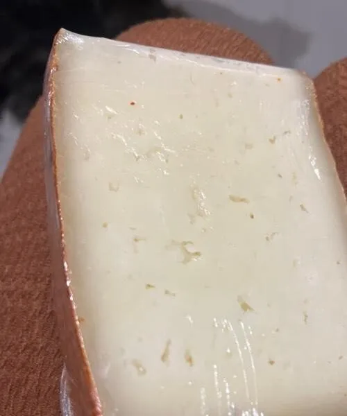 Queso semi pimentón
