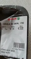 Cervelas de cheval
