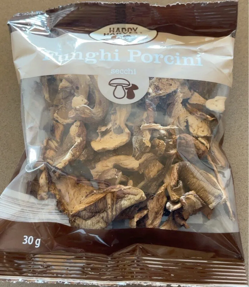 Funghi porcini freschi