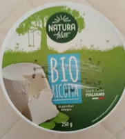 Ricotta