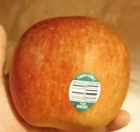 FUJI