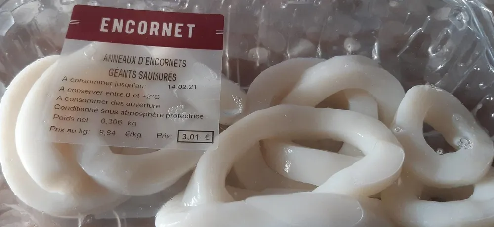 Anneaux encornets géants saumures
