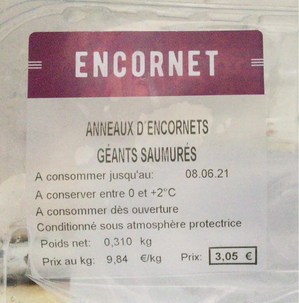 Anneau d’encornets geants saumures