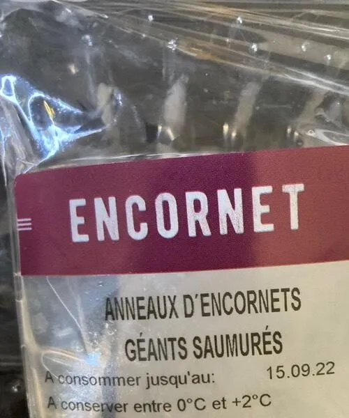Anneaux d’encornets géants saumurés