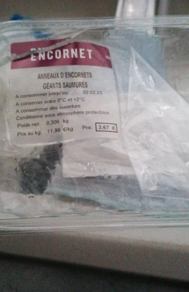 Encornets