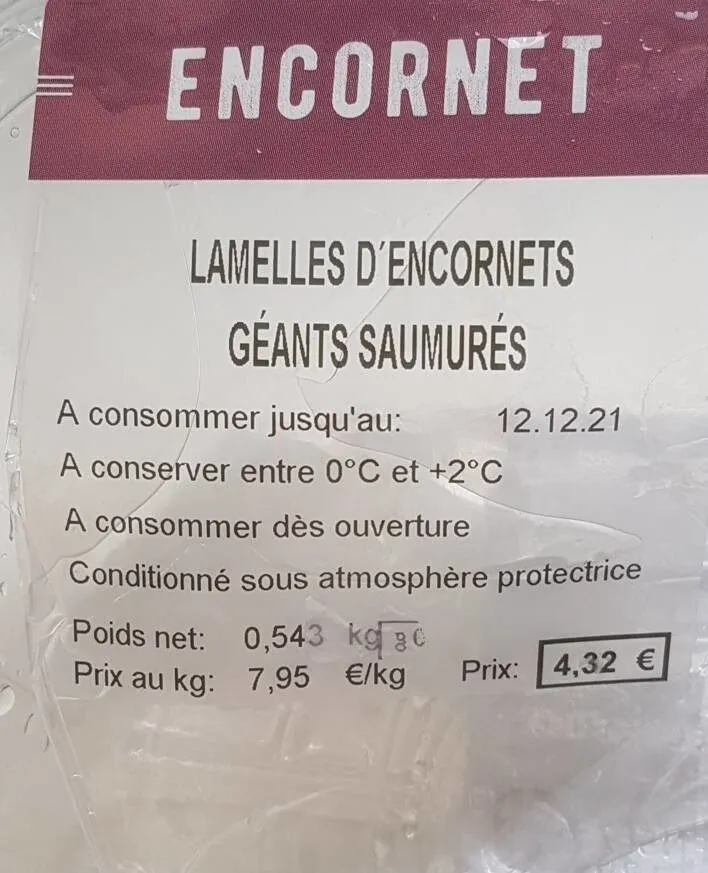 Lamelles d encornets geants