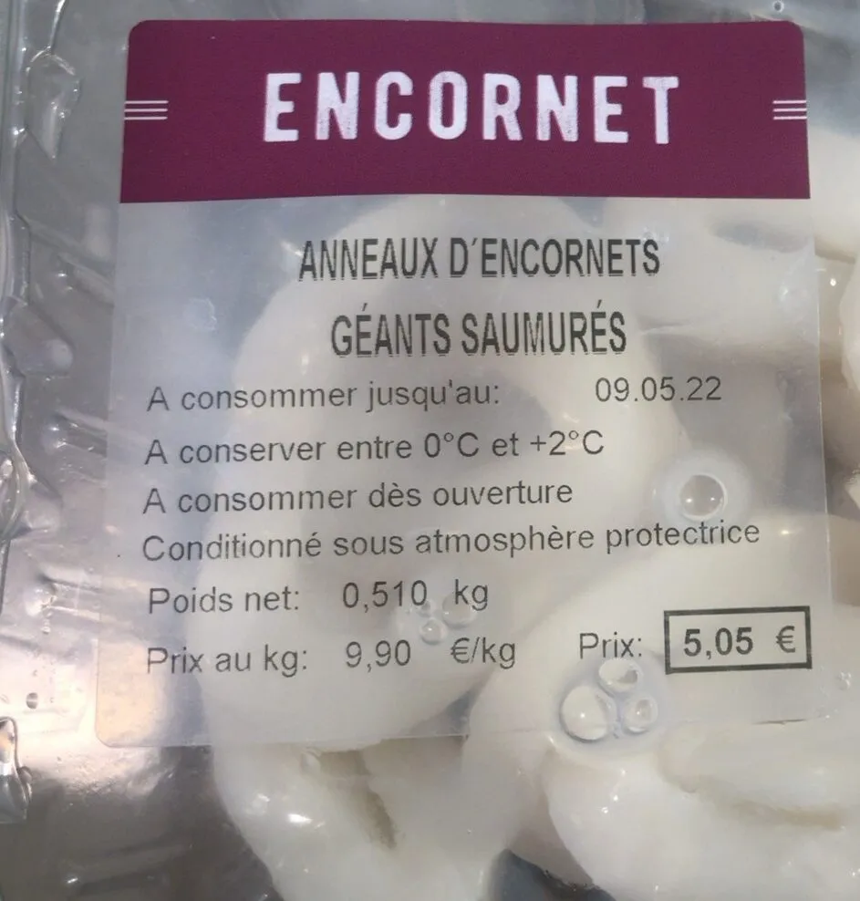 Anneaux encornets geants