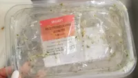 Poêlée d'encornets ail & persil légumes d'été