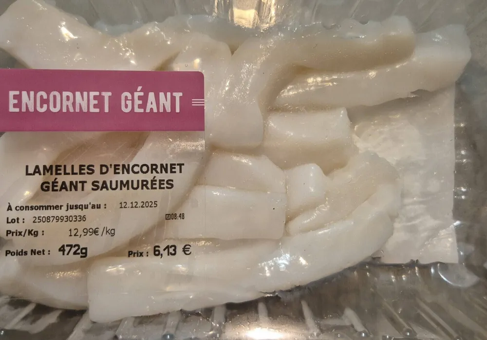 Lamelles encornet géant saumurées
