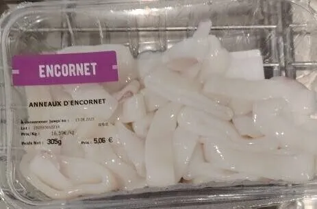 Anneaux D’encornet