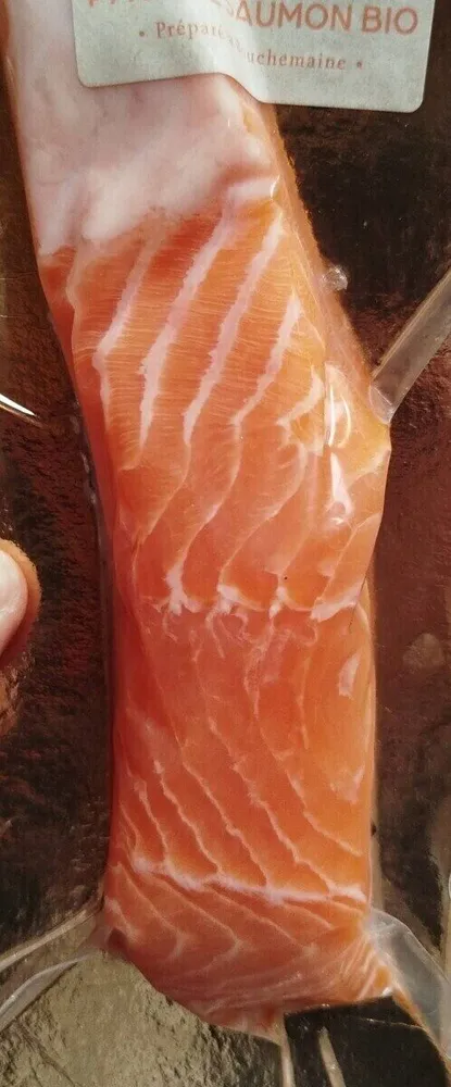 Pavé de saumon frais biologique