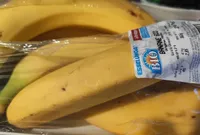 Banane Bio
