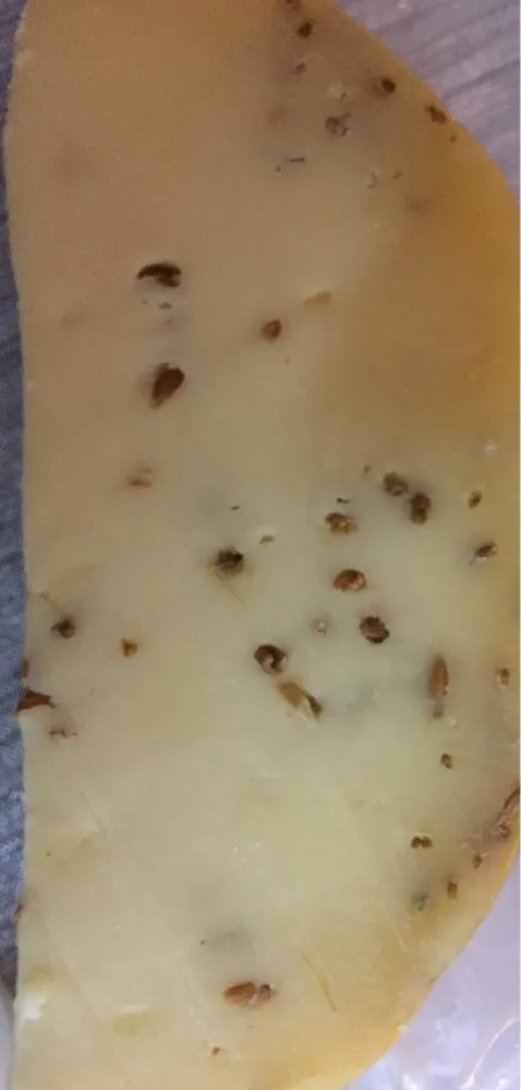 gouda au cumin