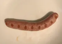 Saucisse nature de volaille biologique