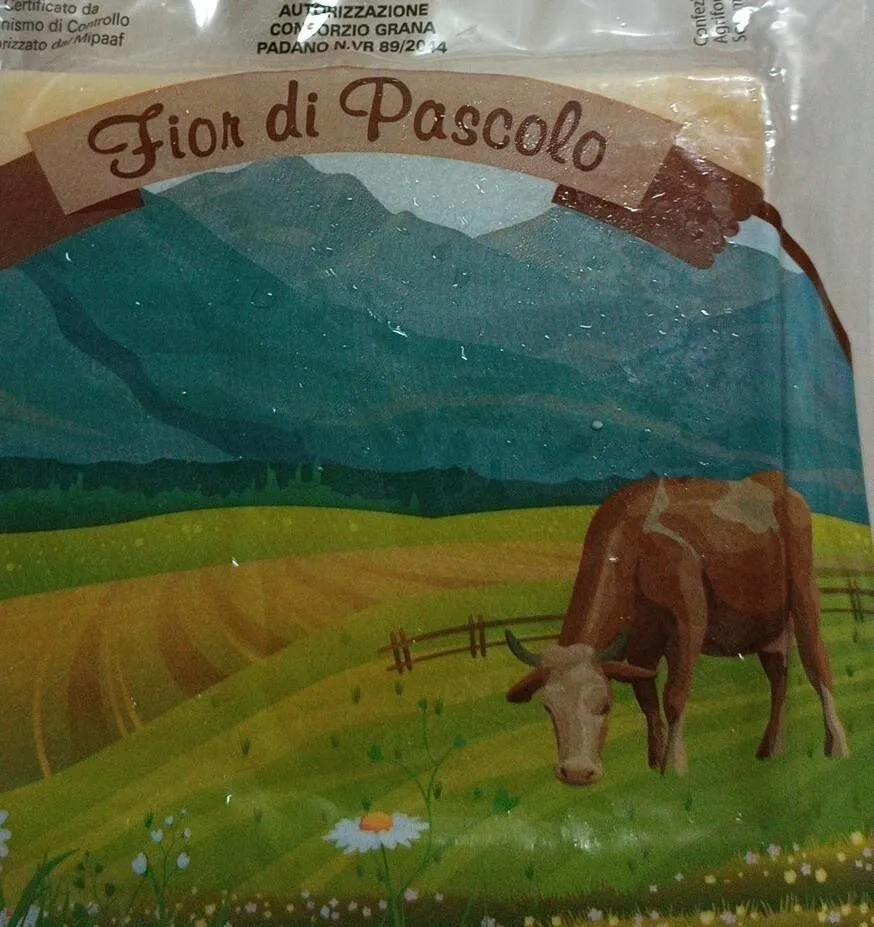 Formaggio Grana Padano DOP