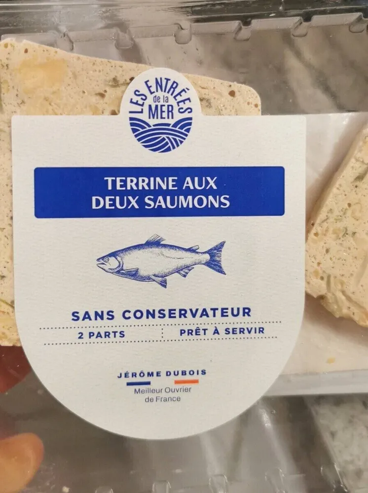 Terrine aux deux saumon