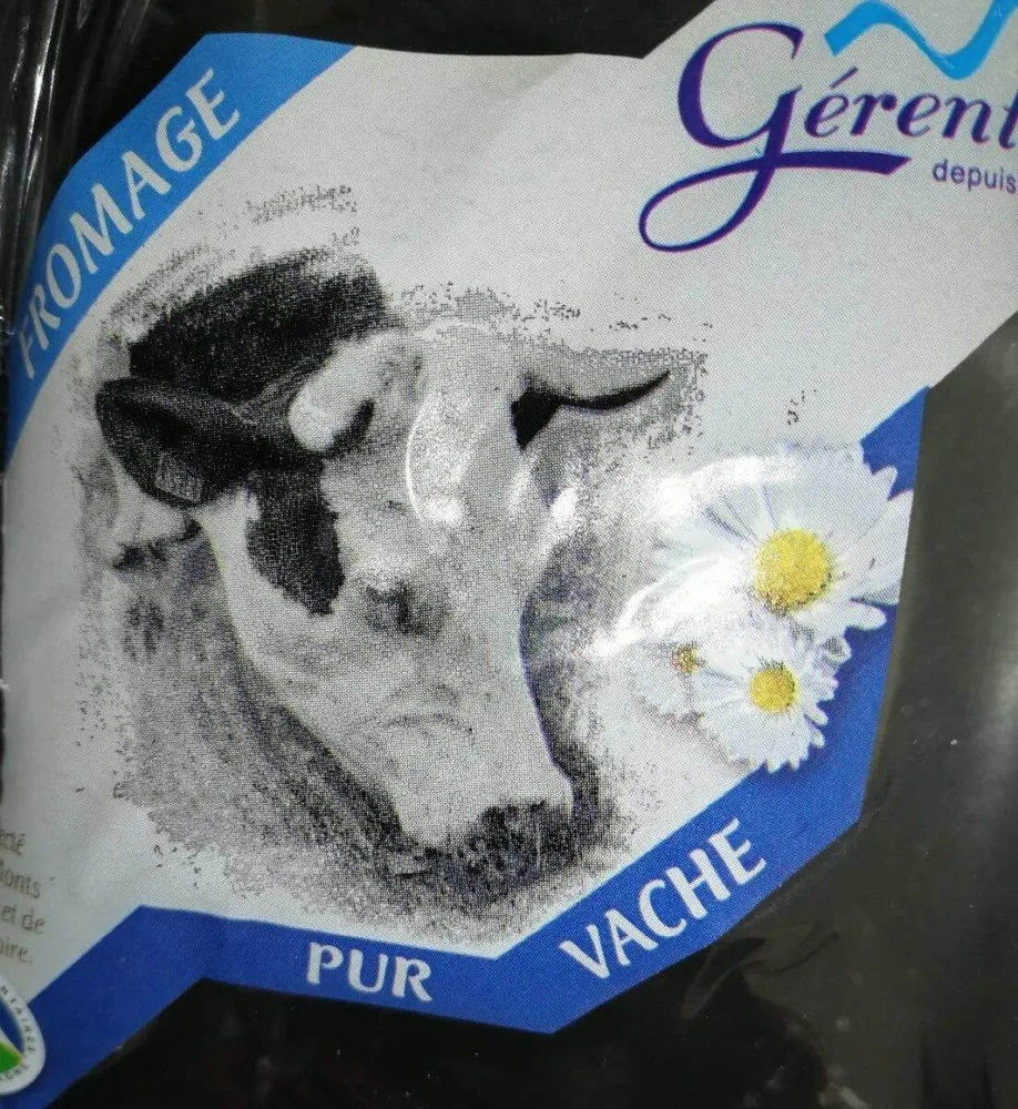 Tomme de montagne grise