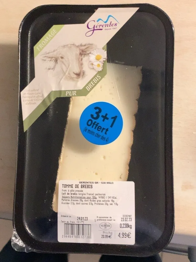 Tomme de brebis