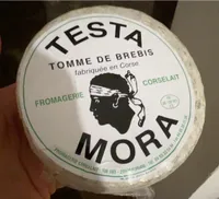 Tomme de brebis