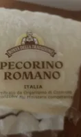 Pecorino