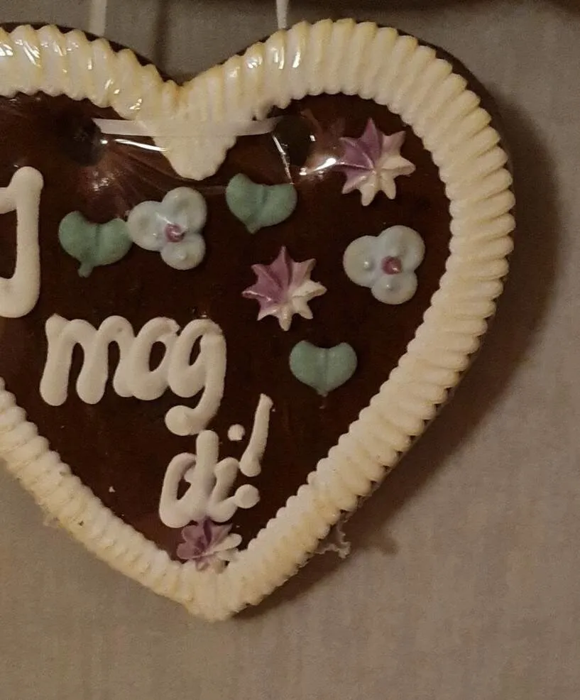 Brauner Lebkuchen mit Zuckerdekor