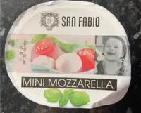 San Fabio Mini Mozzarella
