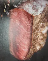 Pavé de bison