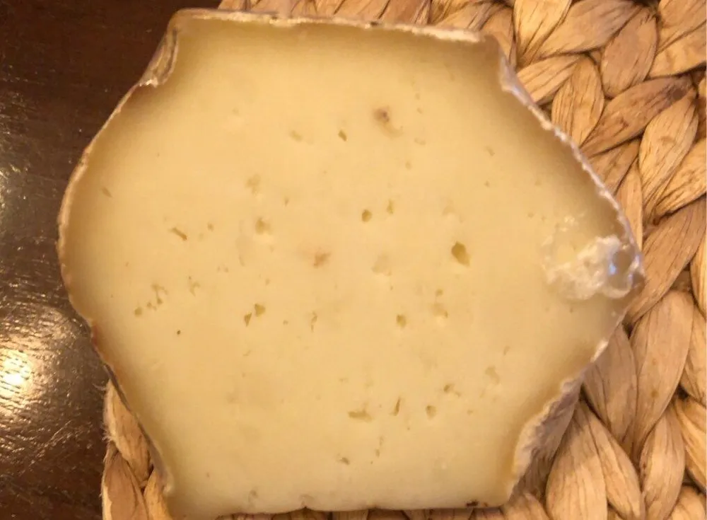 Lavort brebis lait cru