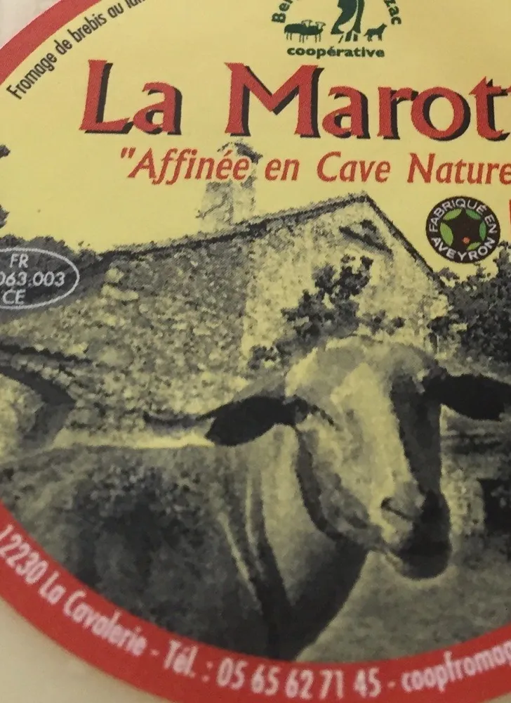 Marotte
