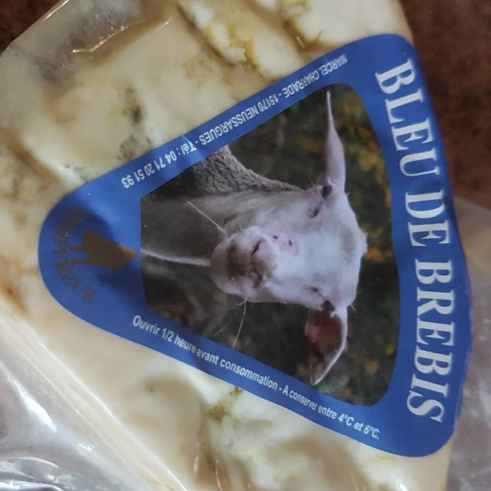 Bleu de brebis
