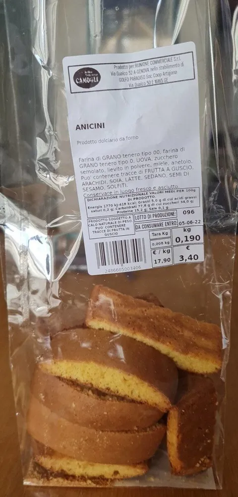 Anicini