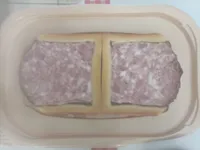 Pâte croûte traiteur 2 TR