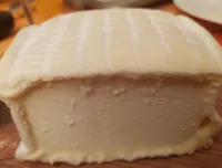Bûche du pilat