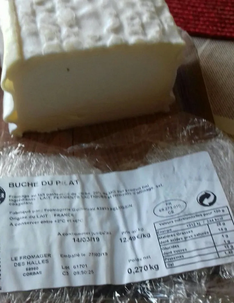 Buche du pilat