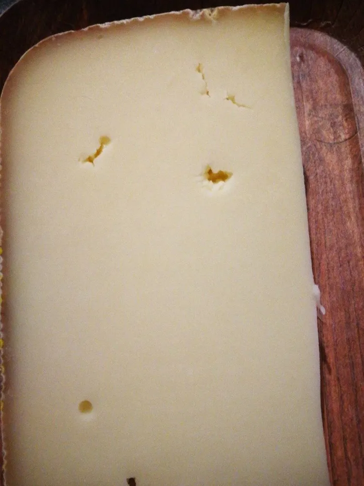 Tomme pur brebis