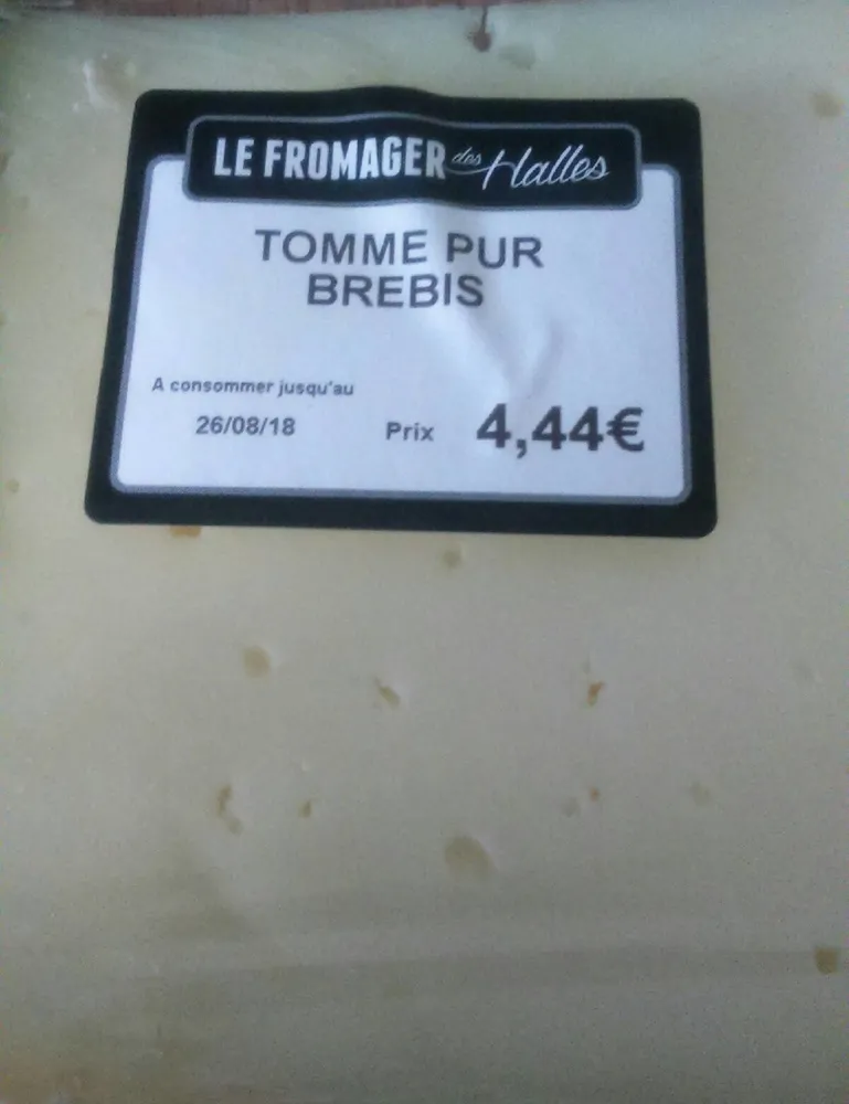 TOMME PUR BREBIS