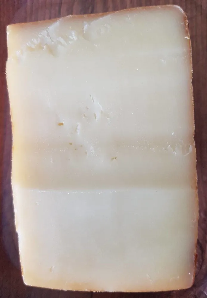 Tommette pur brebis