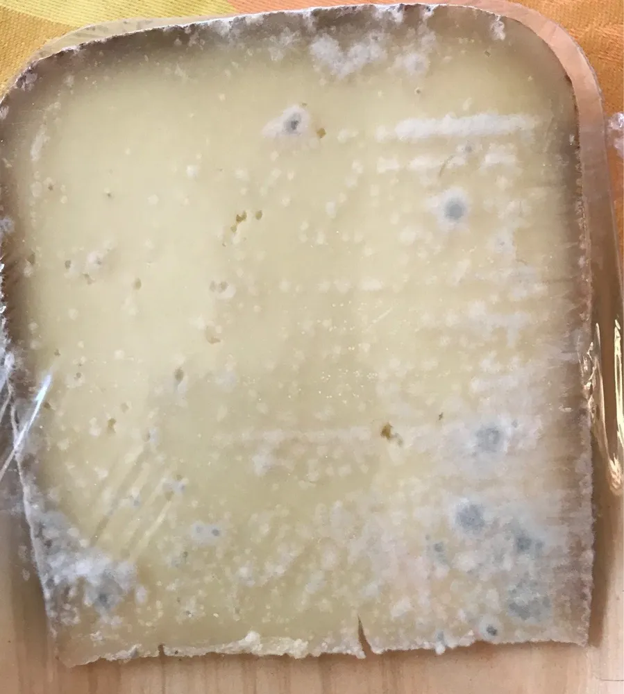 Tomme pur brebis