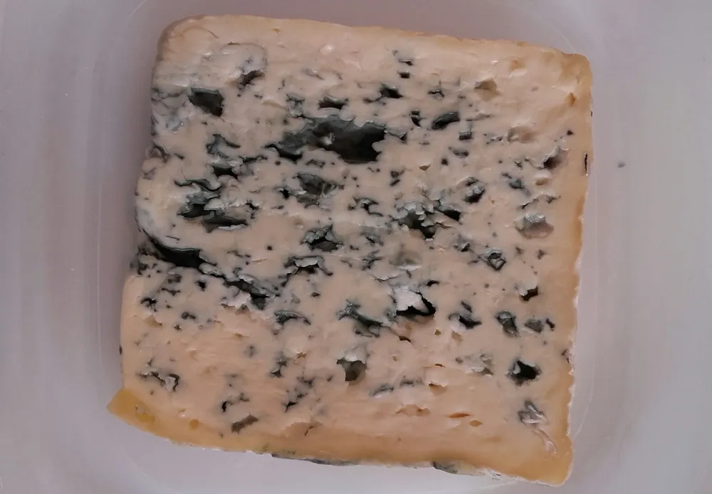Bleu de laqueuille la memee