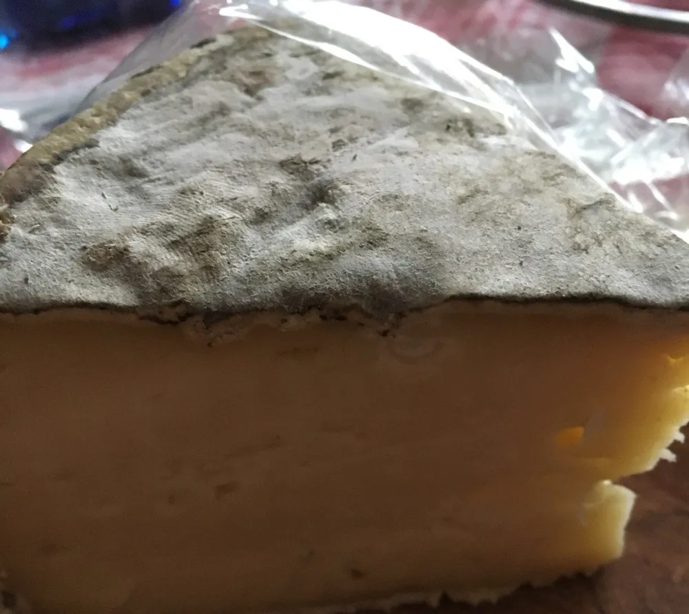 Tomme de saint ours